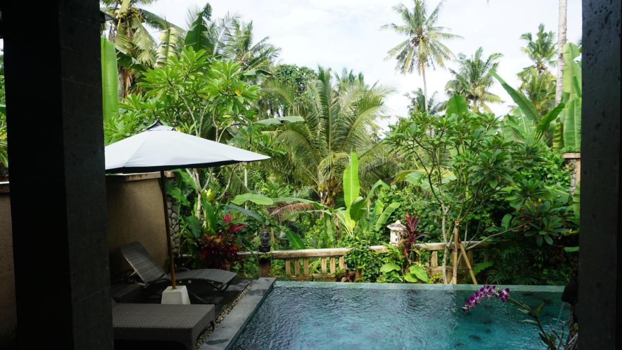 Villa Cilinaya Ubud Dış mekan fotoğraf